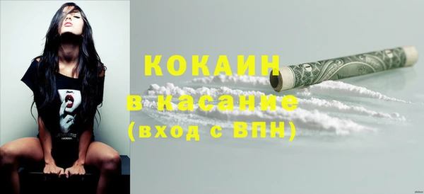 соль ск Алексин