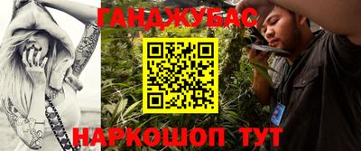 мдпв Кингисепп