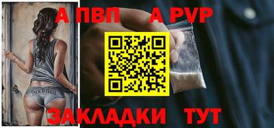 мдпв Кингисепп