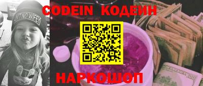 мдпв Кингисепп