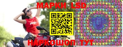 мдпв Кингисепп