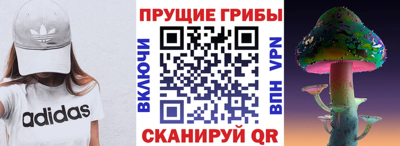 OMG онион  сайты даркнета официальный сайт  Галлюциногенные грибы мицелий  Лесосибирск 