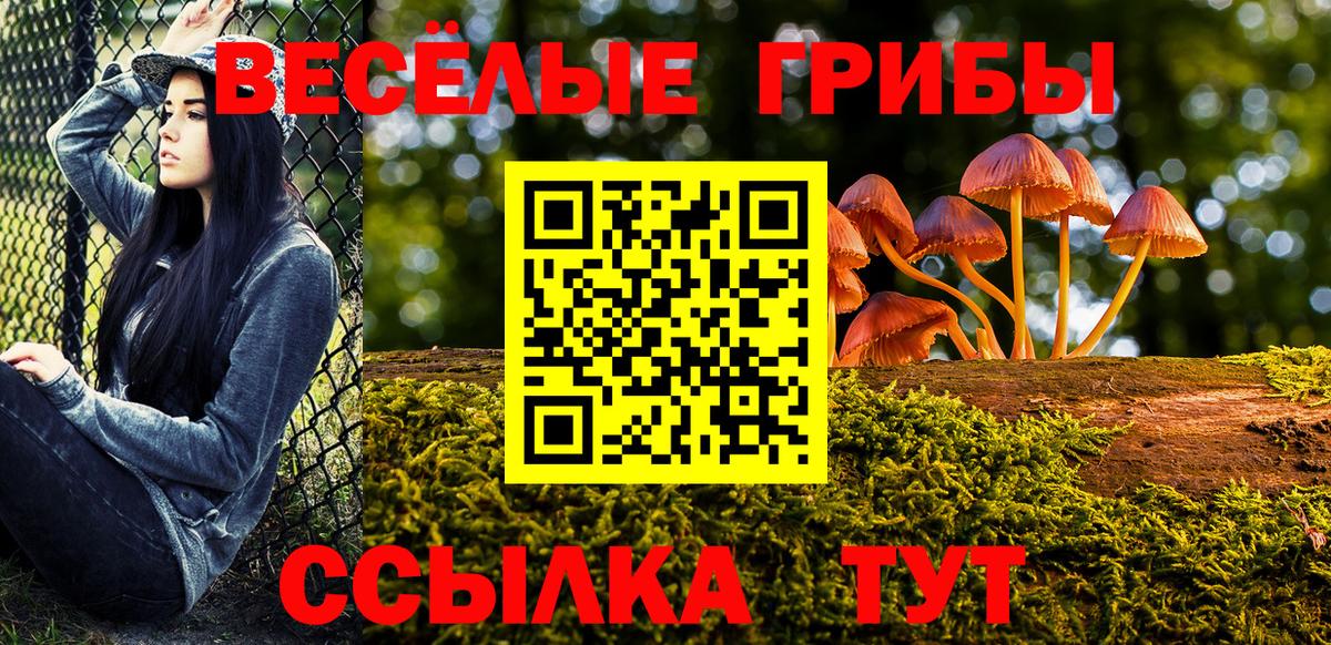 Бошки Шишки  Вход с VPN  Лесосибирск  ГАШИШ  МЕФ  