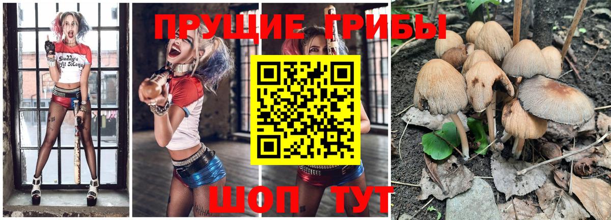 Псилоцибиновые грибы ЛСД  Псилоцибиновые грибы прущие грибы  Лесосибирск  Вход с VPN 