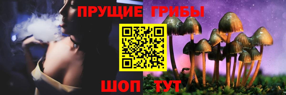 Псилоцибиновые грибы мухоморы Лесосибирск