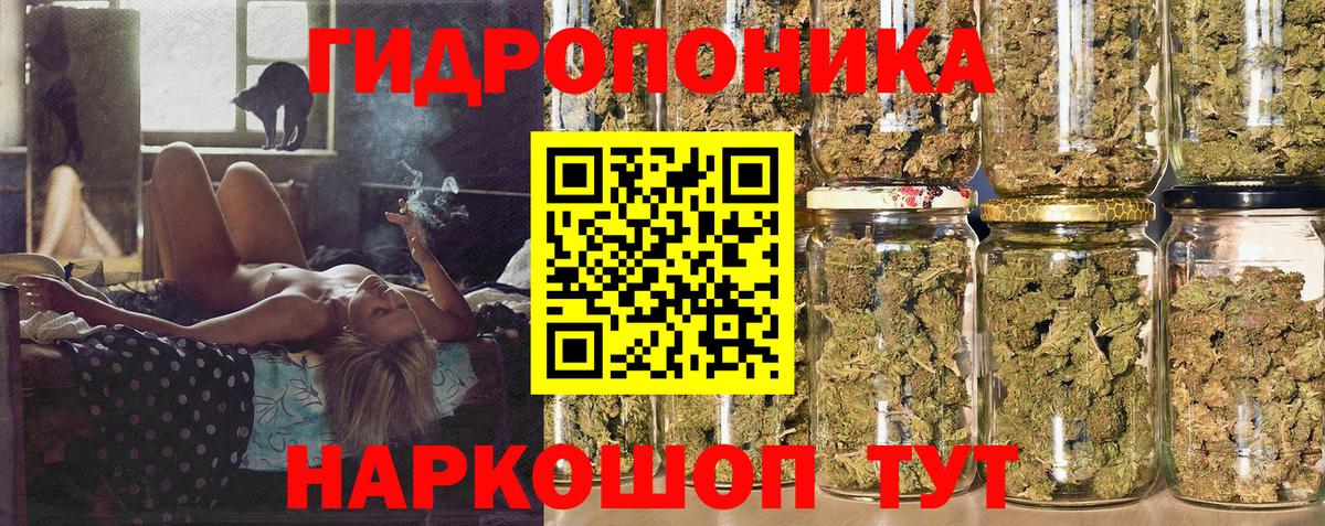 Бошки марихуана ГИДРОПОН Лесосибирск